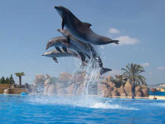 Marineland | Viatges Guitour