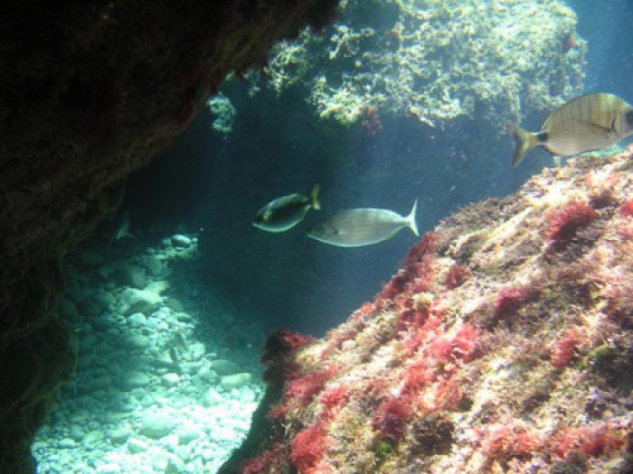 crop_1371474783 Islas Medas
