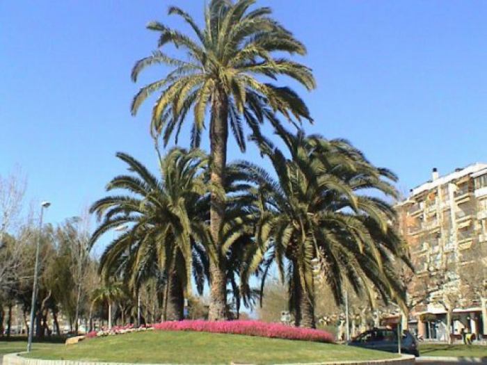 crop_1371481178 Cambrils, Tarragona