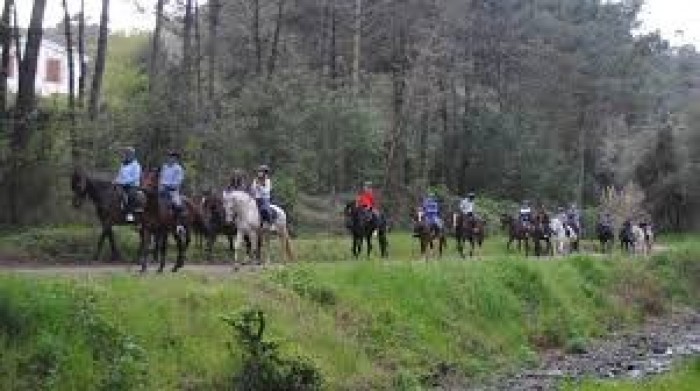 crop_1521552338 Rancho Mestres