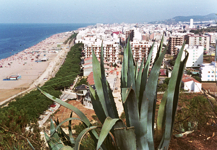 crop_1643825784 Calella, Barcelona
